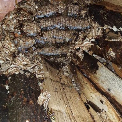 FB_IMG_1566243062817