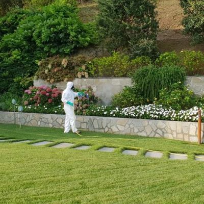 Servizi di disinfestazioni a Varese