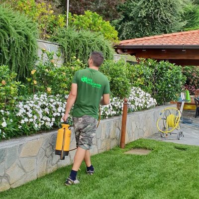 FB_IMG_1566243150578