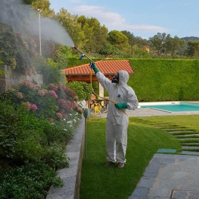 FB_IMG_1566243161192